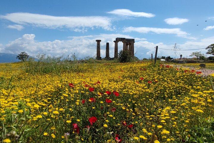 Biblical Corinth Taste Faith & History with wine & Oil Tasting