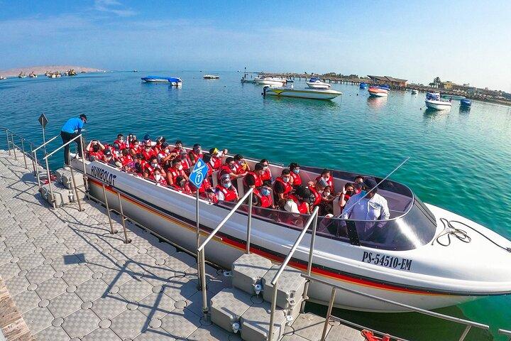 Tour to Paracas and Huacachina in one day