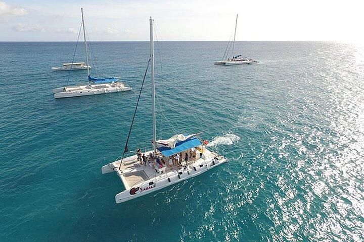 Saona Island Full Day Excursion from Punta Cana