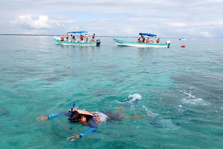 Sian Kaan Boat Ride - Full-Day Tour from Riviera Maya