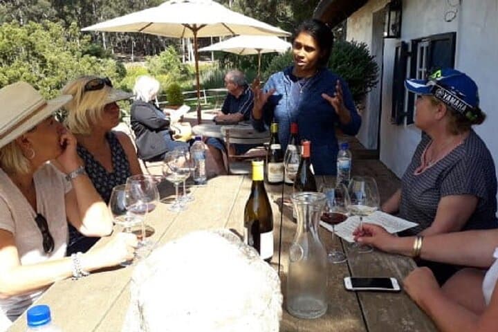 Hermanus Whale Coast Wine Tour (Cape To Grape Wine Tours)