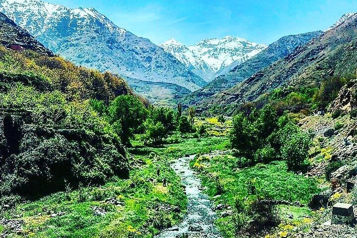 Marrakesh: High Atlas, Agafay desert and Waterfalls Tour