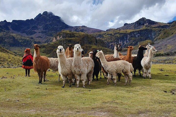 4 Days Lares Trek to Machu Picchu