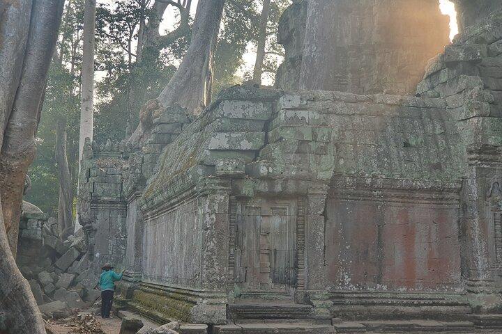 Private must-visit Temples Tour with Guide & Tuk Tuk