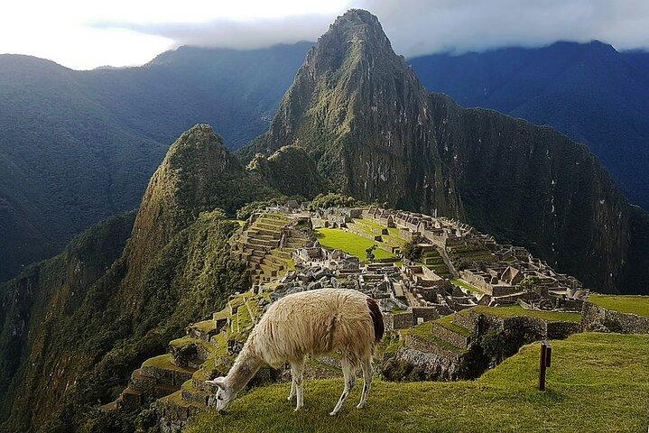 Special 5-Day Machu Picchu and Highlights of Cusco
