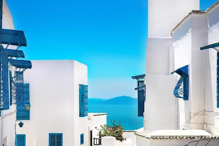 Private tour: Medina,Carthage ,Sidi Bou Said, Bardo Museum+lunch