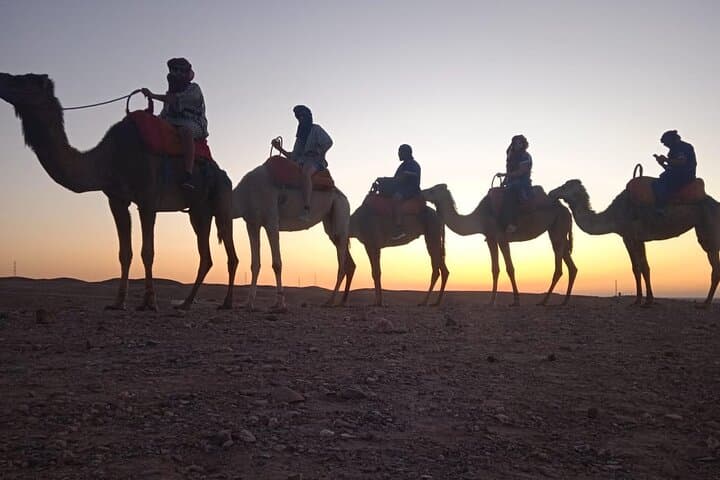 Sunset Dinner & Camel Ride in Agafay desert