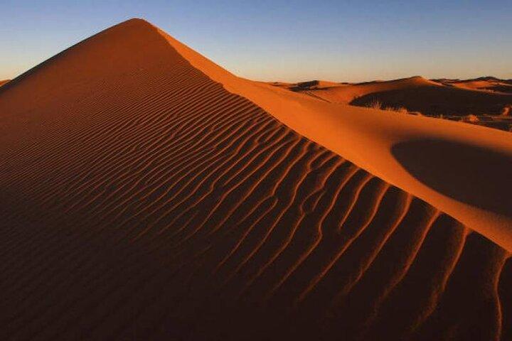 4hrs Dubai Morning Private 4x4 Jeep Only Dunes Drive Camel Ride