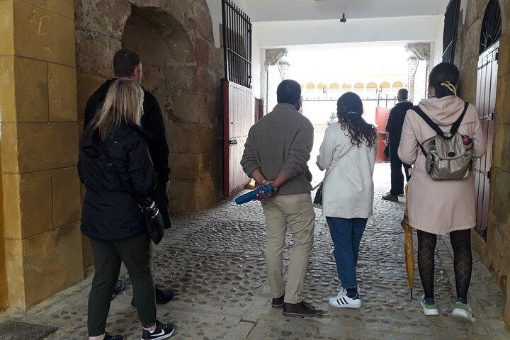 Seville Bullring: Guided Tour with Direct Entry
