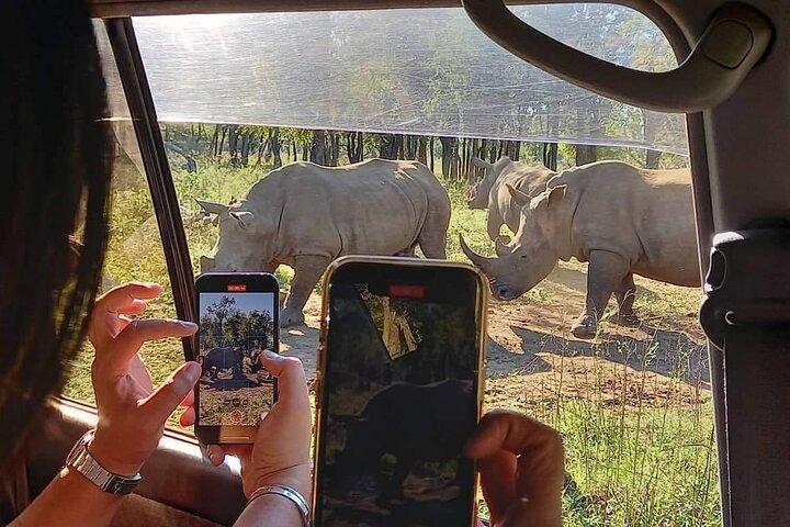 Eswatini (Swaziland) 1-day Country Tour from Maputo