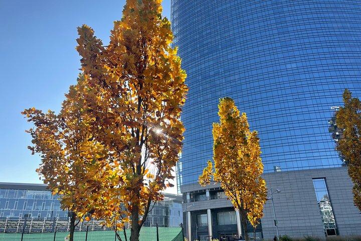 Discover the Milano by Food