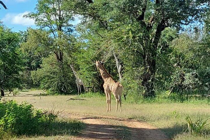 Half-Day Nature Walk in Mosi-oa-Tunya National Park from Livingstone