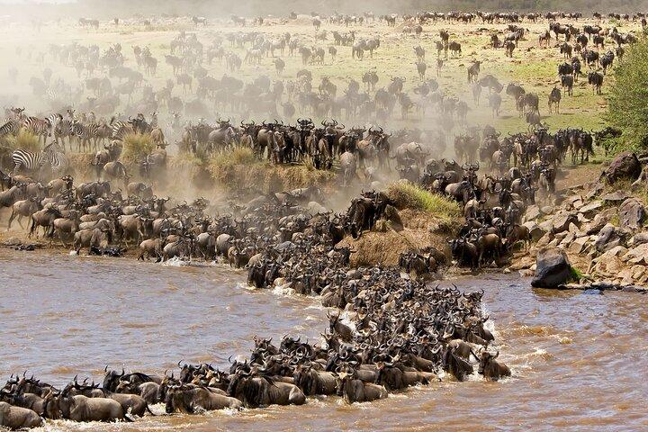 3 days Safari to Tarangire, Ngorongoro and Manyara from Zanzibar