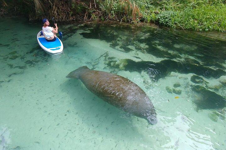 Nature & Island Exploration on SUP/Kayak
