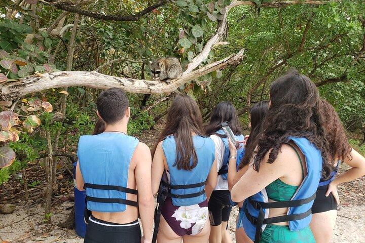 Nature & Island Exploration on SUP/Kayak