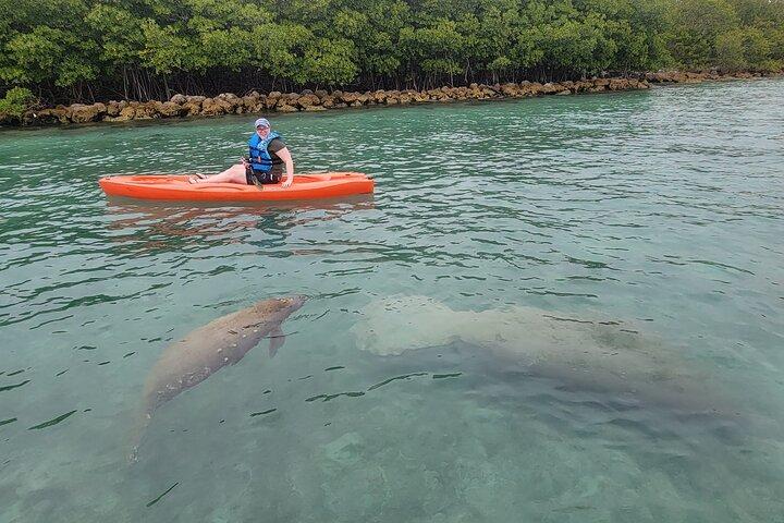 Nature & Island Exploration on SUP/Kayak