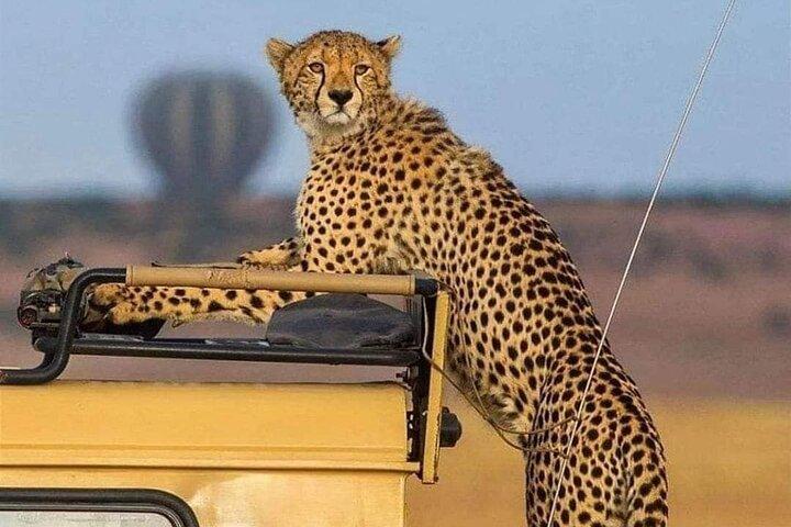 3 Days /2 nights Serengeti and Ngorongoro crater
