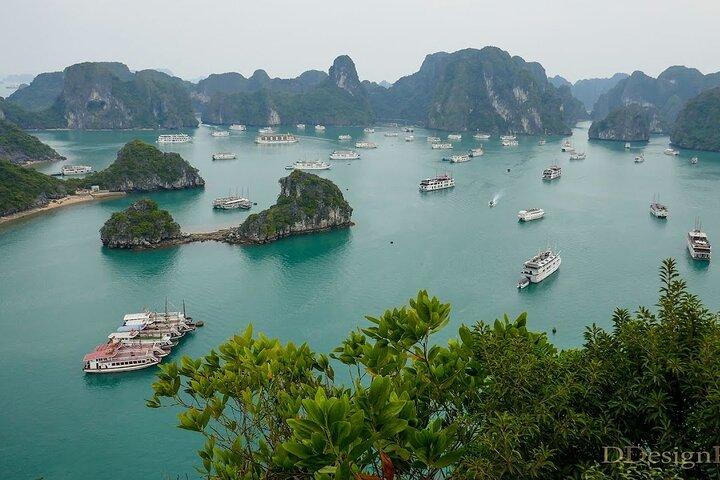 Full Day Halong Bay Tour with Lunch