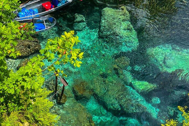 Clear Kayaking Eco Adventure Tour in Marianna
