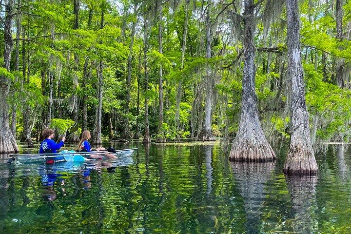 Clear Kayaking Eco Adventure Tour in Marianna