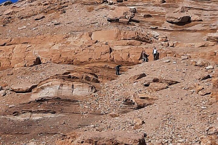 Cairo day tour to El Fayoum