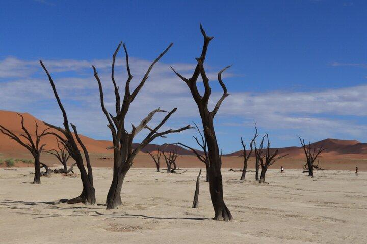 3-Day Sossusvlei & Deadvlei Shared Desert Tour from Windhoek