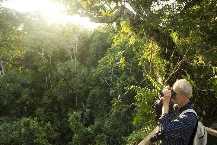 Cuc Phuong National Park Private Day Tour: Trekking & Primates