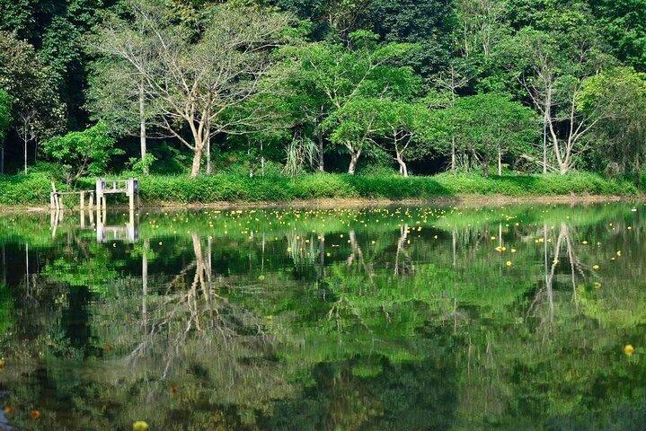 Cuc Phuong National Park Private Day Tour: Trekking & Primates