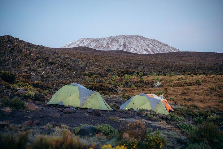 Climbing Kilimanjaro through 7 days Machame Route