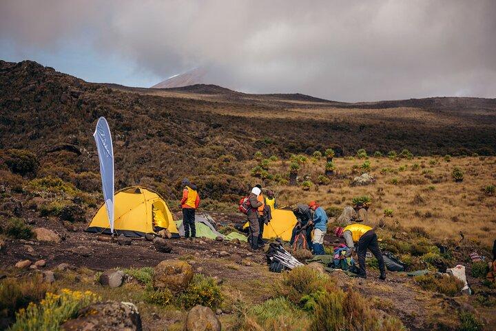 Climbing Kilimanjaro through 7 days Machame Route