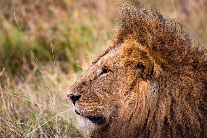 4-Day Pristine Tanzania Safari