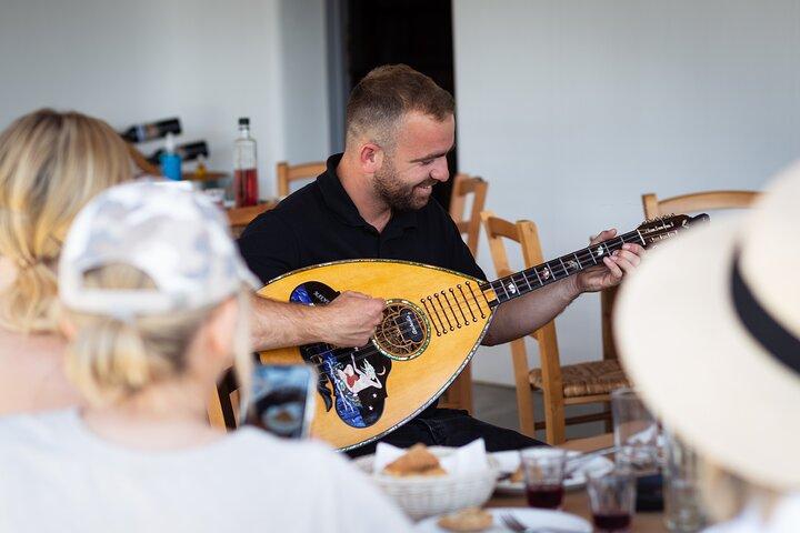 Tour and Wine Tasting in Mykonian Land