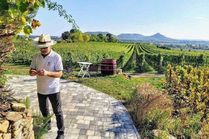 Lake Balaton private wine tasting and Tihany tour from Budapest