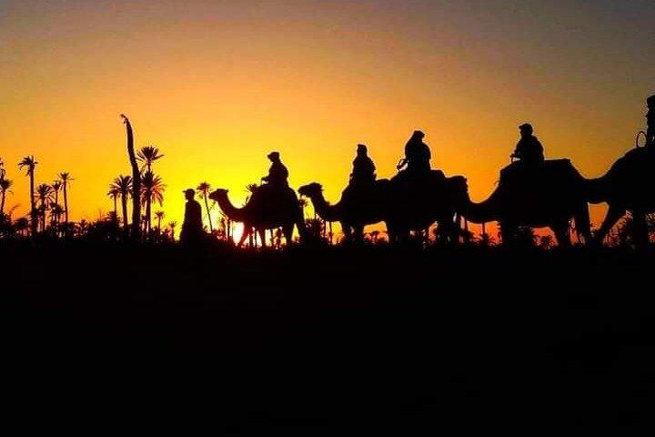 Marrakech Palmeraie: Camel Ride at Sunset