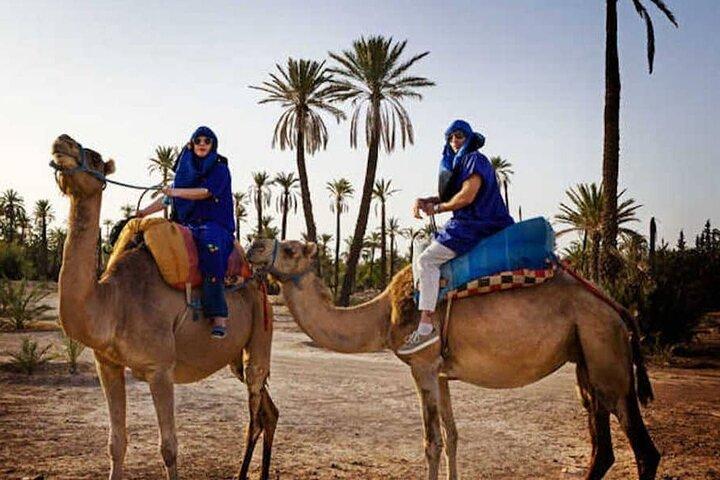 Marrakech Palmeraie: Camel Ride at Sunset