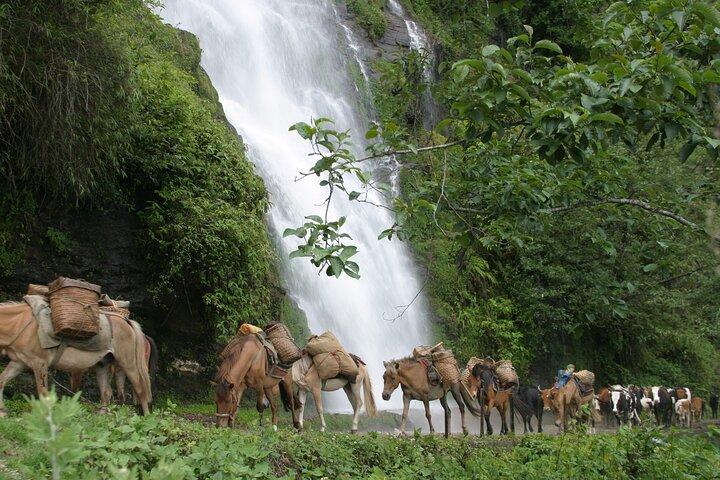 9 Days Druk-path Trek with Cultural sightseeing