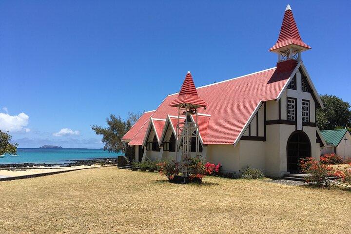 Turtle Snorkelling & Scenic North Island Full-Day Experience