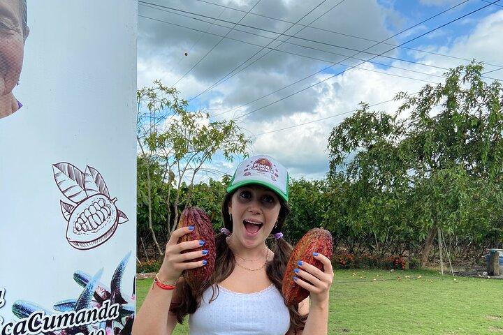 Full Day Churute Howler Monkeys and Chocolate Tour