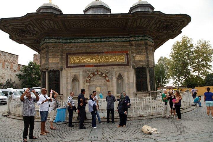 Istanbul: Hagia Sophia & Blue Mosque Guided & Small-Group Tour