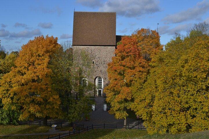 Full Day Viking Tour Sigtuna, Uppsala and Swedish Fika at a farm.