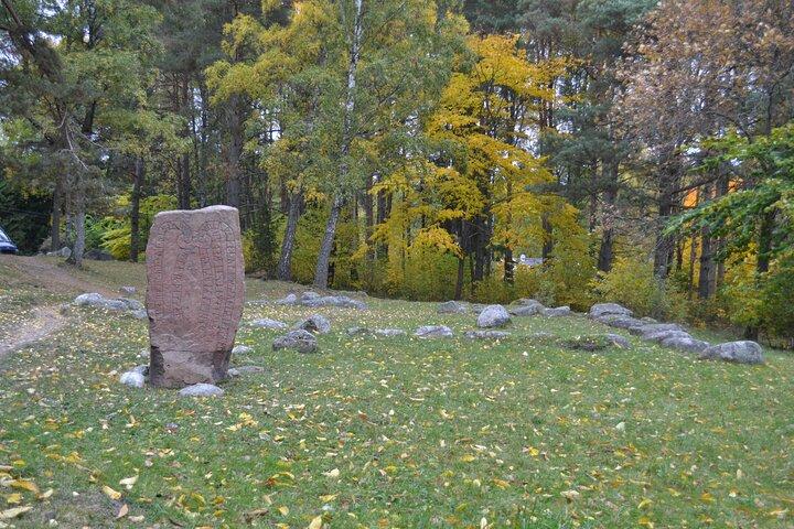 Full Day Viking Tour Sigtuna, Uppsala and Swedish Fika at a farm.