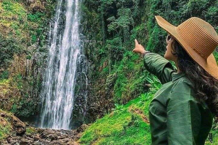 Tarangire National Park and Ngorongoro Crater 2-Day Private Tour