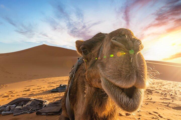 Merzouga Desert 3 Days 2 Nights Tour From Marrakech