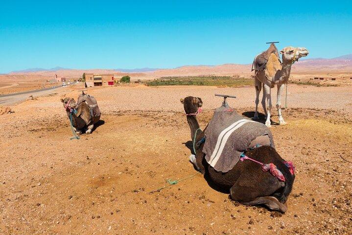 5 days itinerary DE Marrakech to DE desert. daily departures