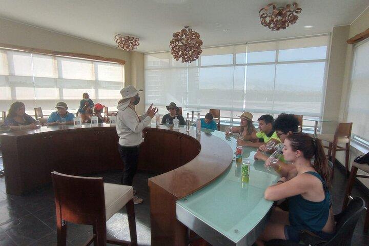 Experience and Tasting of Pisco and Peruvian wine