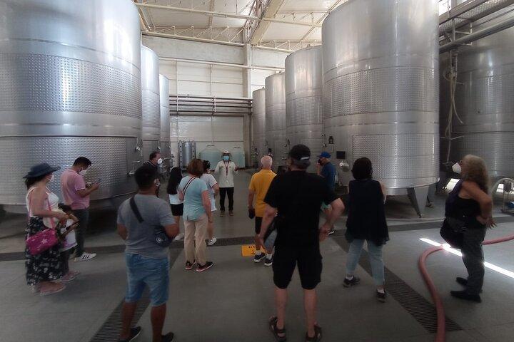 Experience and Tasting of Pisco and Peruvian wine