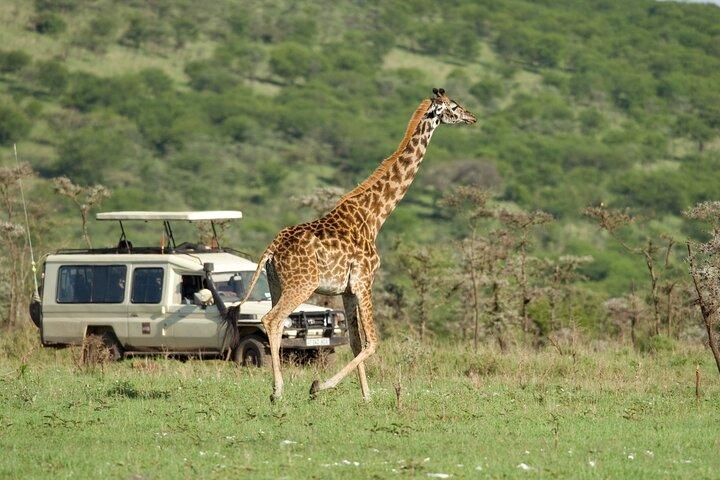 4 Days Safari in Tanzania
