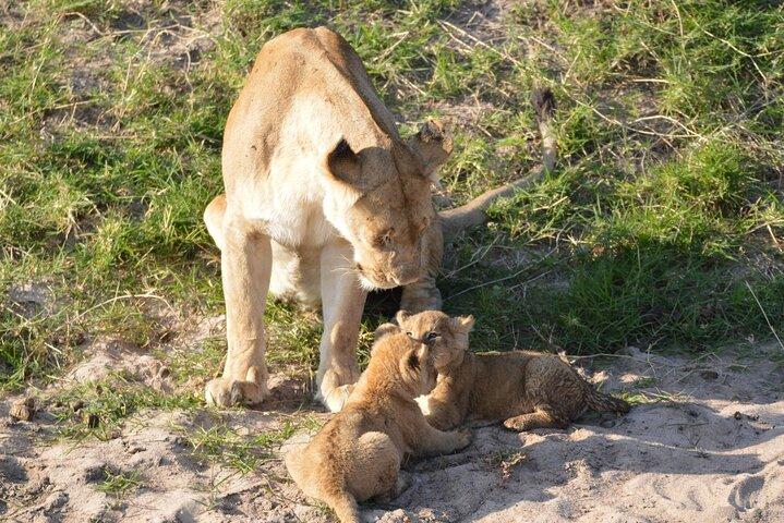 10-Day Amazing Comfort Camping Safari