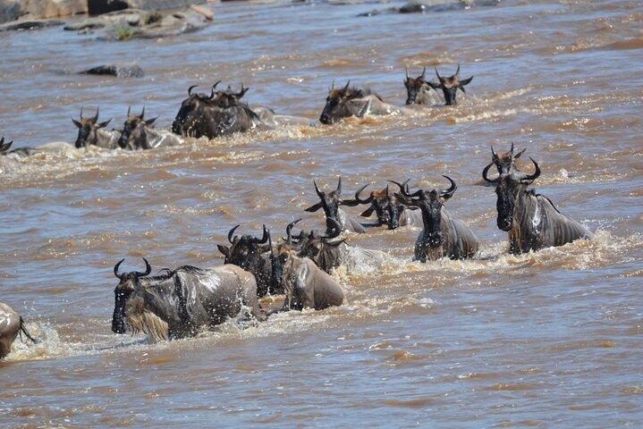 4 Days Serengeti Heritage Safari