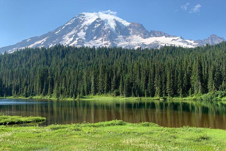 Guided hike on Mt. Rainier - old forest, falls and glacier views